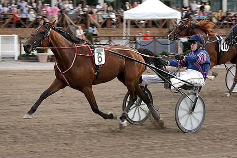 I Keep My Word ja Jukka Lintula toimivat ideavihjeen varmana.