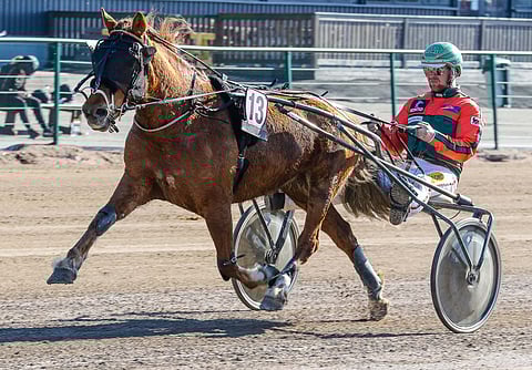 Hetviina ja Antti Tupamäki voittivat huhtikuussa Seinäjoella tammojen Kohti Kunkkareita -lähdön. Kuva: Anu Leppänen
