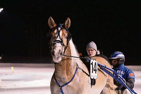 Lauri Hyvösellä oli helmikuussa 2019 mieluinen tehtävä haastatella Henri Bollströmiä Issakan Stigin voitosta.