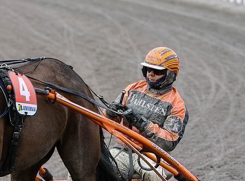 Tommi Kylliäisen ohjastama ja treenaama Next Hope on Kouvolassa liki voittoa.