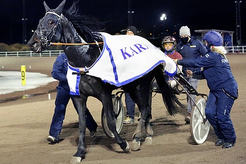 ”Hevonen on tarpeeksi menevä ilman apuvälineitäkin”