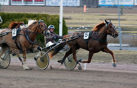 Ari Kotikulma ajoi Synerin keulavoittoon Vermossa 7. huhtikuuta 2021. Sen jälkeen tuli vielä kaksi napakymppiä, mutta nyt edellisestä voitosta on ehtinyt vierähtää jo yli vuosi.
