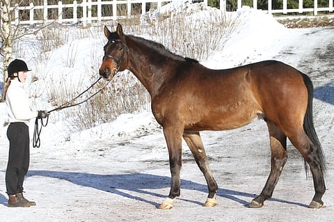 Ypäjä Jeremy vuonna 2015.