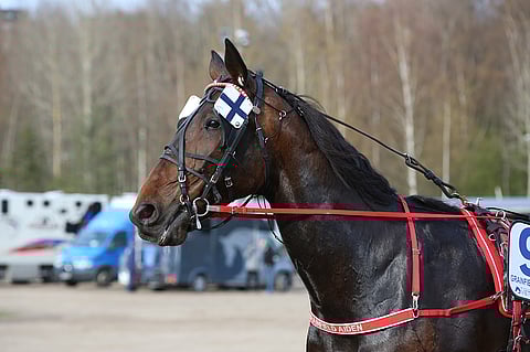 Suomella voi Kuopion Kavioliiga GP -finaalin jälkeen olla edustaja Elitloppetiin. Grainfield Aiden jää varmaksi.