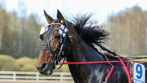 Grainfield Aiden muutti pohjoiseen.