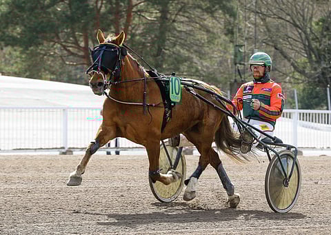 Hetviina puursi voittoon lähdössä, jossa vastuksena oli Suomen muita kärkitammoja.