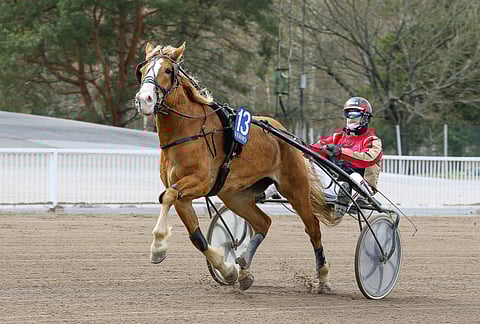 Hissun Pamela hallitsi Marinen muistolähtöä Tuomas Pakkasen ohjastamana.