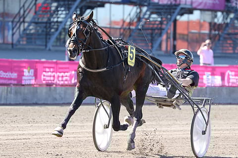 Näin helppoa oli M.T. Insiderin meno. Kuva: Anu Leppänen