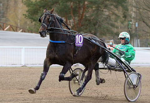 Moniman on loistoasemista järkevä Toto65-ideavarma.