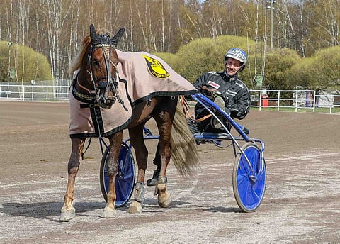 Parvelan Retun kausi 2021 käsittää 11 kilpailua, joista tuloksena on kymmenen voittoa ja kakkossija.