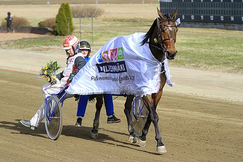 Iikka Nurmosen ja EL Houdinin yhteistyö on ollut täydellistä: kaksi starttia ja kaksi voittoa.