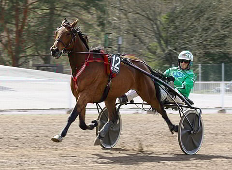 Willow Pridella on aikaisempana kansainvälisenä meriittinä kevään Seinäjoki Racen kolmossija.