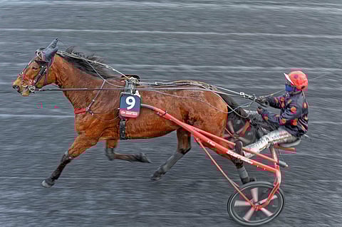 Delia du Pommereux nähdään suurella todennäköisyydellä Kouvolassa.