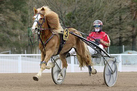 Hissun Turbo on ollut kauden mittaan ennätysvauhdeissa. Kuva: Anu Leppänen