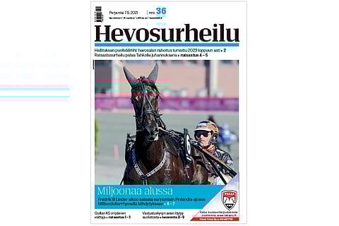 Milliondollarrhyme. Kannen kuva: Anu Leppänen.