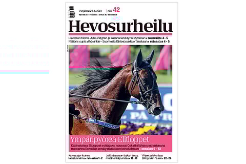 Cokstile. Kannen kuva: Anu Leppänen.