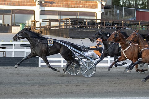 No Limit Royalty kulkee valmentaja Jarno Kauhasen mukaan helpontuntuisesti kovaa. Kuopiossa hevosen vauhtikapasiteetista nauttii ohjastaja Olli Koivunen. Arkistokuva: Iita-Maria Ahtiainen