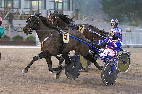 Prada Nights pystyy illalla voittoon.