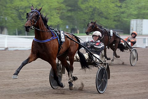 Queen Of Piratesin meno oli keulajuoksulla tällä kertaa hurjaa.