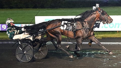 Ori Really Fast kiri lujaa Cuatro de Julion ohi 100 000 dollarin arvoiseen voittoon. Kuva: Lisa Photo 