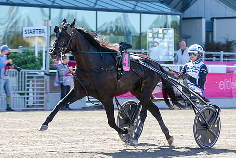 Aetos Kronos oli Solvallan sankari. Kuva: Anu Leppänen