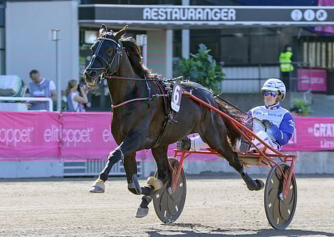 Amornero Rocin juoksu Elitloppet-sunnuntaina Solvallassa pilaantui laukkaan, mutta Mika Forss ei pelkää samaa keskiviikkona Vaggerydissä.