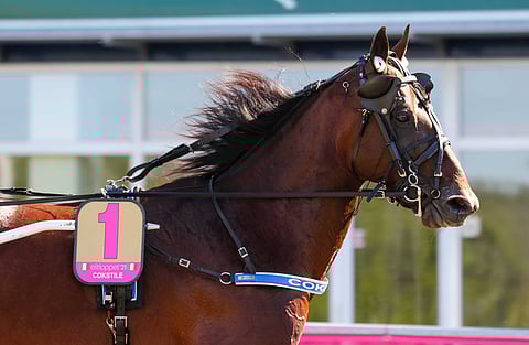 Cokstilea on Vermossa lupautunut ajamaan Christoffer Eriksson. Kuva: Anu Leppänen