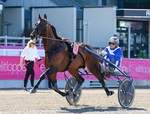 Ecurie D:n ylväs olemus hurmasi nyt Lexingtonin legendaarisella The Red Milella. Kuva: HU arkisto/