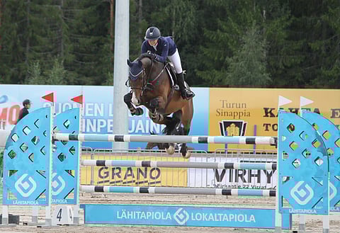 Dobbelt Quidam on laadukas hevonen.