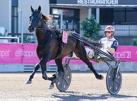 Kuvan Gareth Bokon Elitloppetissa kolmanneksi ohjastanut Mats E Djuse jatkaa Gogobet Sisun rattailla Östersundissa.