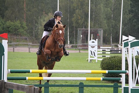 Linnea Haukilehdon ja Hilkun Ruusun yhteistyö alkoi kohti Kasvattajakilpailua 2019.