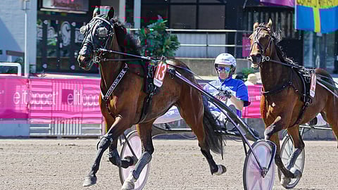 MAS Capacity ja Jorma Kontio.