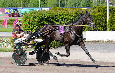 Milliondollarrhyme on hienossa vireessä. Kuva: Anu Leppänen