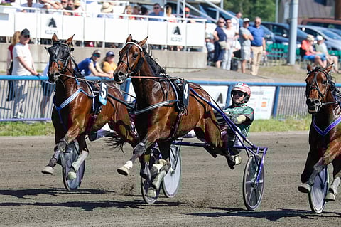 Tänään radalta kahdeksan Pekka Korven ajamana kiihdyttävä My Sweden on ideavihjeen ankkuri. Kuvassa ruunan ohjissa on Hannu Torvinen.