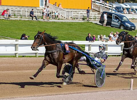 Jonny Länsimäki on onnistunut President Lindyn rattailla viime starteissa hyvin ja jatkaa nyt myös sen vastuuvalmentajana.