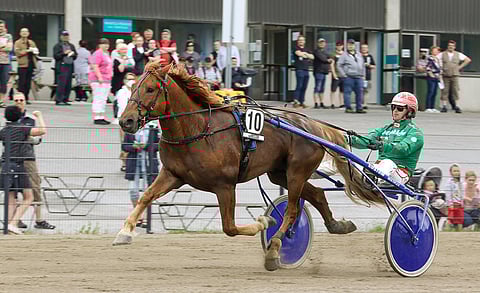 Siirin Valtsu lunasti voitolla paikkansa marraskuun lopussa ravattavaan Varsakunkku-finaaliin. Arkistokuva Anu Leppänen.