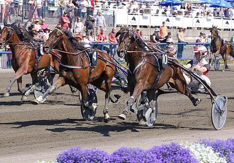Näin käynnistyi ravikierros lauantaina Kouvolassa. Kuva: Anu Leppänen.