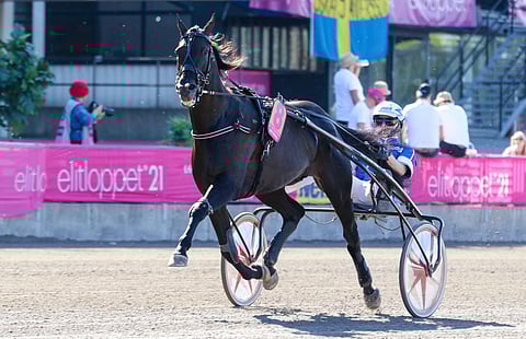 Very Kronos voitti Sundsvall Open Trotin. Arkistokuva: Anu Leppänen