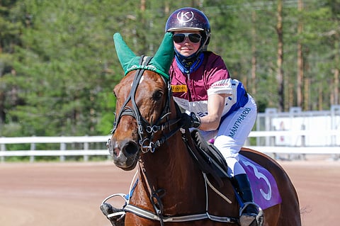 Vilma Lyydia (kuvassa Janita Antti-Roikon ratsastamana) kelpaa ideavarmaksi.
