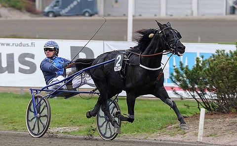 BWT Caesar on selvinnyt kahtena viime kesänä Suur-Hollola-ajon finaaliin.