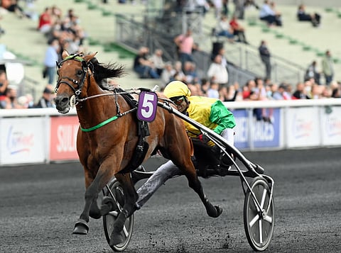 Face Time Bourbonin ylivoimaa. Kuva: Gerard Forni