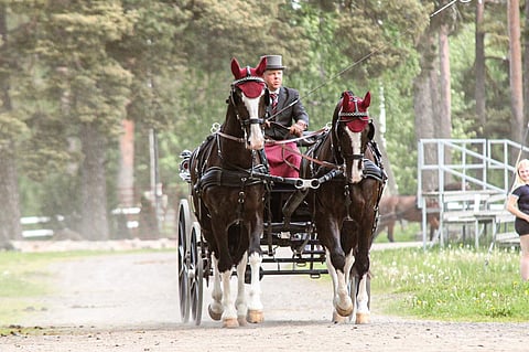 Kuvassa Kornet ja King.