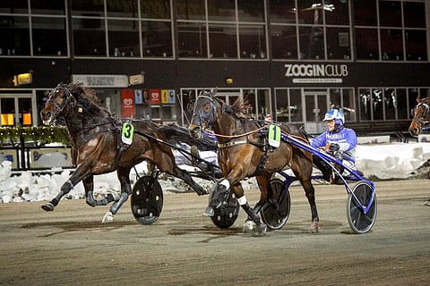 Samu Sundqvist on viimeisen kymmenen vuoden aikana toiminut ensin Ingemar Hultqvistin yksityistreenarina, ja viimeiset kaksi vuotta Uumajassa ammattivalmentajana. Nyt puhaltavat uudet tuulet.