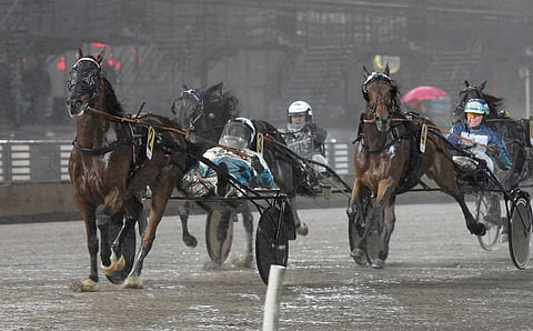 Nobel Amok kilpaili Thomas Lönniltä ja Robert Berghiltä 77 kertaa totosijoin 22-5-7 ja juoksi reilut 1,9 miljoonaa kruunua ja ennätyksen 10,5.