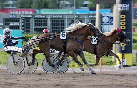 Runoneito vastaili sitkeästi Tapsan Toivolle perille asti.