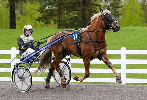 Vauhdikas ja jaksava Vilberth säväytti Killerillä. Arkistokuva: Anu Leppänen