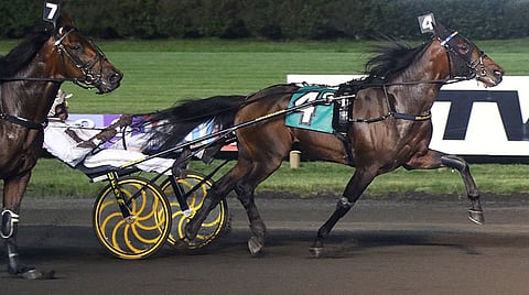 Marcus Melanderin Sonofamistery voitti varmasti ja hienolla ajalla perjantaina. 