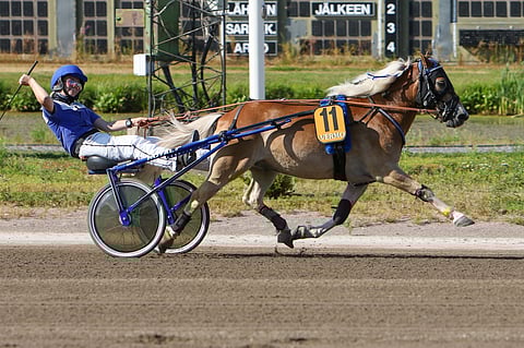 Poniruhtinas-tittelin ykköskandidaateiksi ilmoittautuivat Armani ja Laura Sipilä. Lähimmät uhkaajat ovat 2,8 sekunnin päässä. Kuva: Satu Pitkänen
