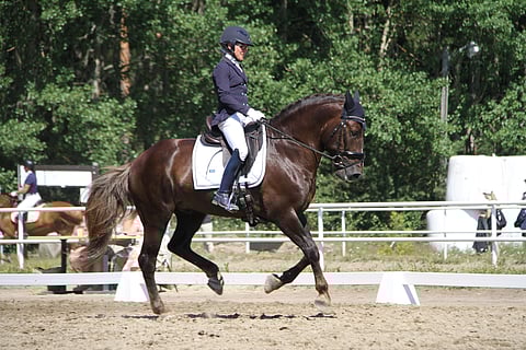 Anna Kärkkäinen ja Kulta-ahon Kasimir lähtivät kilpailuun ennakkosuosikkeina ja ottivat selvän voiton.