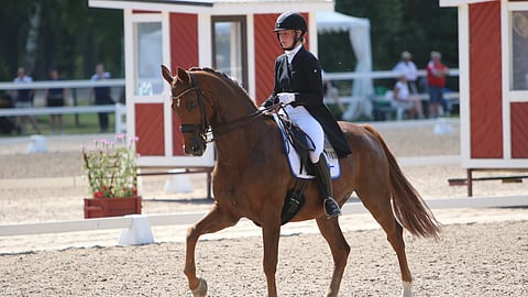 Anna von Wendtin luottoratsu Denzel jaksaa esittää parastaan. "Se on aivan mieletön."